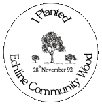 Woodland Planting Day Badge